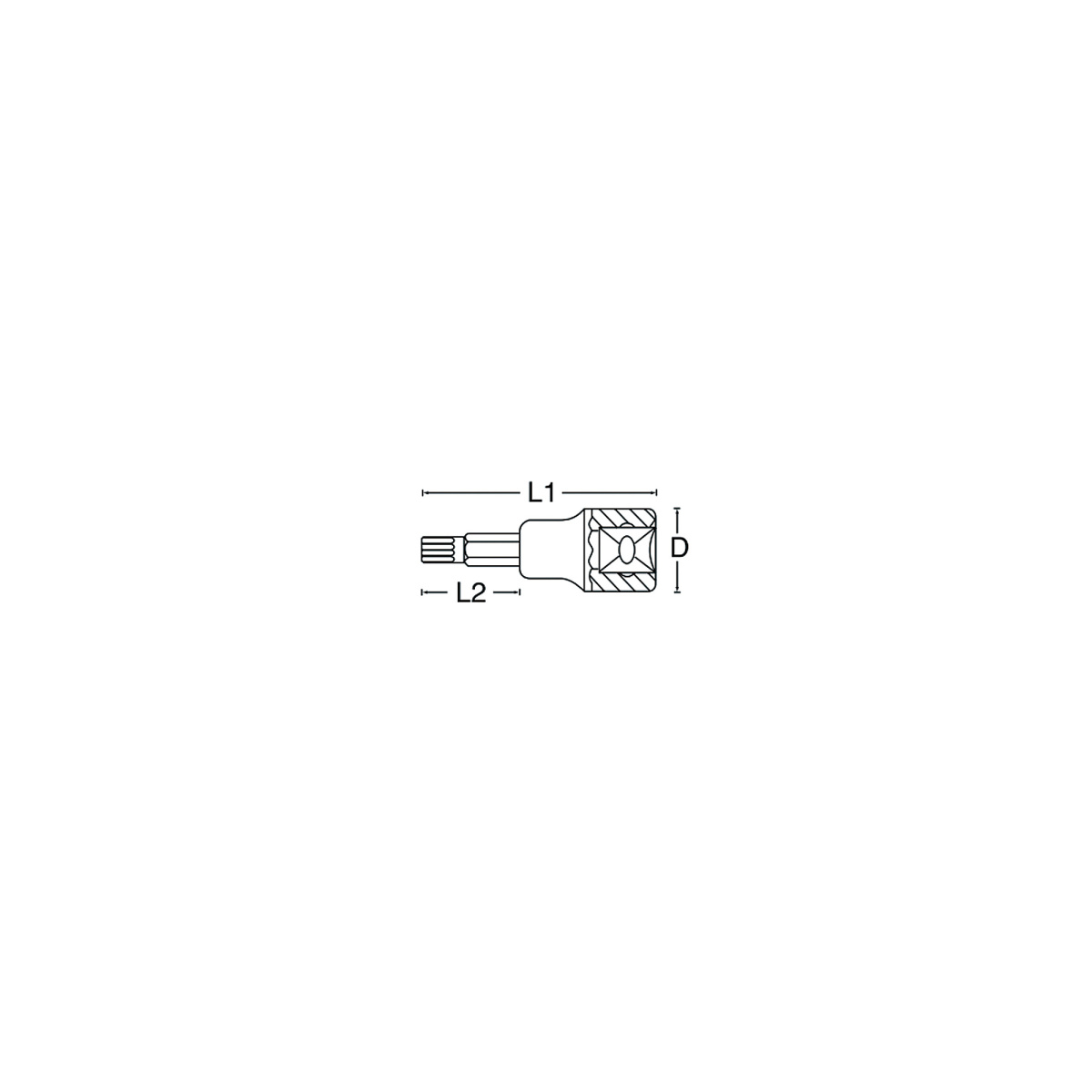 SIGNET(シグネット)22871 (#22560)3/8DR T-60 ヘクスローブビットソケット